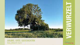 Stadtkalender �Verwurzelt�: Brucker B�ume im Fokus